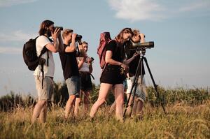 Watching birds in the Netherlands